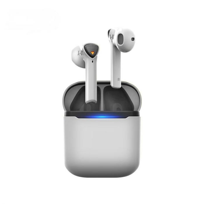 Flydigi X1 TWS Earbuds